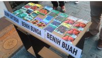 Benih Mematikan Asal Belanda di Maluku Dimusnahkan