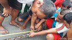 Foto: Ini Sanca Batik 4 Meter yang Bikin Warga Ciputat Geger