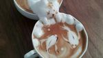10 Latte Art Ini Bikin Gemas dan Gagal Fokus