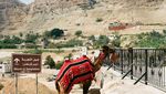 Foto: Kota Tertua Sedunia Ada di Palestina