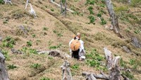 Gunung Omine dikeramatkan oleh para penganut Buddha dari sekte Shugendo, wanita dilarang keras masuk naik ke gunung ini. Soalnya, keberadaan wanita dianggap mengganggu para biksu di sini (Visit Nara)