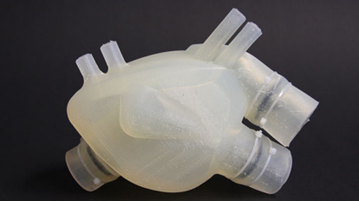 Selangkah lagi, transplantasi jantung bisa dilakukan dengan jantung buatan dari silikon karya peneliti dari Swiss. Foto: World Economic Forum/ETH Zurich Selangkah lagi, transplantasi jantung bisa dilakukan dengan jantung buatan dari silikon karya peneliti dari Swiss. Foto: World Economic Forum/ETH Zurich