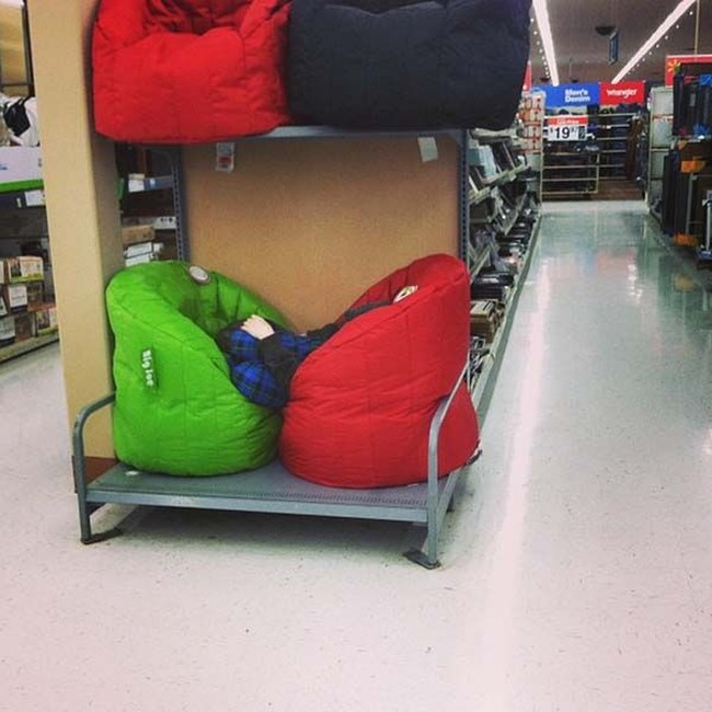 Yang ini juga memilih untuk tidur. Namun ia memilih tempat yang nyaman dari pada di trolley. Foto: ist