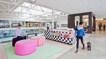 Nah kalau ini kantornya Airbnb, perusahaan penginapan online. Hewan peliharaan pun bisa masuk. Foto: Office Snapshot
