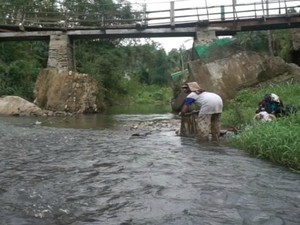 Perbaiki Infrastruktur, BUMN Ini Bangun 8 Jembatan di Berbagai Daerah