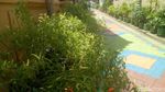 Foto: Lorong Ramah Anak & Bebas KDRT di Makassar