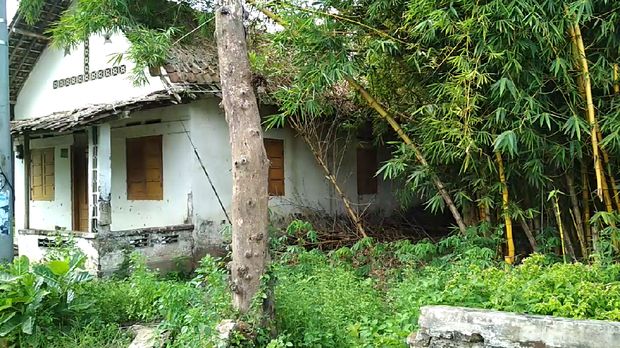 Pemilik rumah akan membongkar rumah ini dan akan ditanami pohon sengon