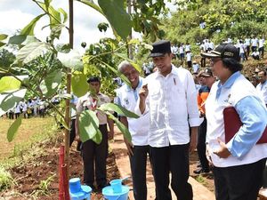 Jejak Inspiratif Warga Jabar Berjuang Tanam dan Rawat Pohon