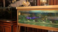 Dua aquarium di salah satu ruangan.