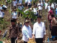 Menanti Ibu Kota Pindah ke Luar Jawa