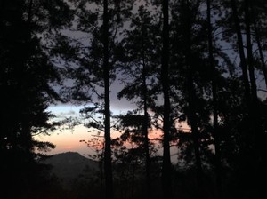 5 Fasilitas di Gunung Pancar, dari Hutan Pinus hingga Pemandian Air Panas