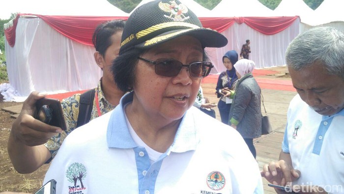 Orangutan Mati Tanpa Kepala, Menteri LHK Utus 2 Dirjen ke Kalteng