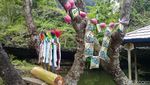 Potret Uniknya Tradisi Maulid di Objek Wisata Karst Rammang-Rammang