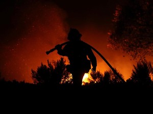 Kebakaran Hutan di Los Angeles Meluas ke Dekat Permukiman