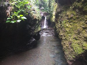 Weekend Getaway di Bogor, Bisa Wisata Alam Hingga Sejarah