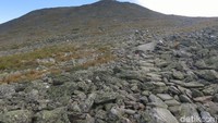cuaca di gunung ini disebut-sebut sebagai yang terburuk di dunia. Suhu terdinginnya mencapai -46 derajat Celcius. Selain itu, kecepatan anginnya pernah mencapai 327 km per jam dan tercatat sebagai yang tercepat di muka bumi (Randy/detikTravel)