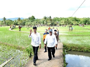 Jokowi Pastikan Perbaikan Pasca Bencana di Gunung Kidul dan Pacitan