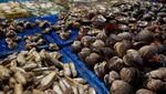 Yuk Intip, Suasana Pasar Ikan Noryangjin di Seoul, Korea Selatan