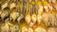 Ikan-ikannya terlhat segar dan sudah dicantumkan dengan harganya. Tapi kalau kemahalan, bisa coba menawar dan berkeliling ke tempat lain yang lebih murah. Foto: Istimewa