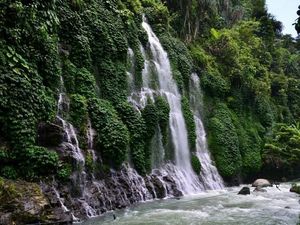 Ini yang Namanya Curup Maung