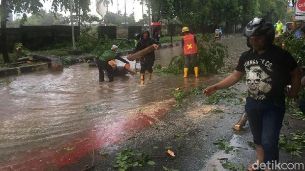  Pohon tumbang di perempatan Kuningan arah Polda Metro Jaya, Senin (11/12/2017)