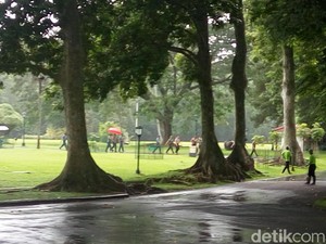 Sejumlah Perwira TNI dan Polri Bertemu Jokowi di Istana Bogor