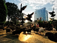 Beyond Mainstream, Smartphone 4 Kamera yang Diburu Banyak Orang