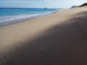 Ajaib! Pantai di Lembata Ini Bisa Berubah-ubah