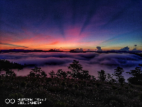 Beyond Mainstream, Smartphone 4 Kamera yang Diburu Banyak Orang