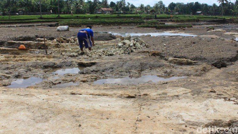 Diterjang Banjir, Sawah di Gunungkidul Berubah Jadi Batu Cadas Diterjang Banjir, Sawah di Gunungkidul Berubah Jadi Batu Cadas