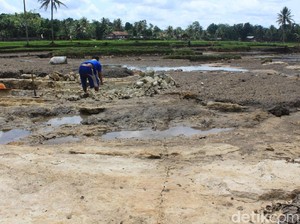 Diterjang Banjir, Sawah di Gunungkidul Berubah Jadi Batu Cadas