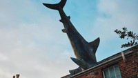 Pembuatan patung ikan hiu untuk memperingati jatuhnya bom di Nagasaki, Jepang. Heine memasangnya di atap rumahnya saat peringatan jatuhnya bom di Nagasaki yang ke-41 pada 9 Agustus 1986 (steflouca/Instagram)