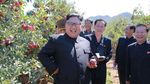 Foto: Wajah Ceria Kim Jong-Un Saat Kunjungi Berbagai Tempat di Korut