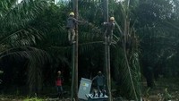 Wilayah Riau saat ini rasio elektrifikasinya mencapai 91,58%. Secara bertahap akan ditingkatkan menjadi 96,5% di 2018 dan menjadi 100% di 2019. Pool/PLN Wilayah Riau dan Kepri.