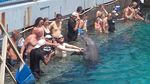 Foto: Backpaker Tuna Netra yang Keliling 124 Negara