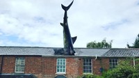 Salah satu monumen yang bentuknya tak biasa, dapat traveler lihat di Inggris, yaitu Headington Shark. Lokasinya di 2 New High Street, Oxford (caracourage/Instagram)
