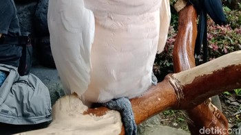 Selfie dengan mode standar. Foto: Adi Fida Rahman/detikINET