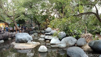 Detail dan komposisi warna terbilang cukup baik. Foto: Adi Fida Rahman/detikINET