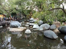 Menguji Kamera Belakang Oppo F5 Versi Murah