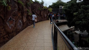 Sementara Oppo F5 Youth punya kamera belakang 13 MP dengan bukaan F/2.2. Foto: Adi Fida Rahman/detikINET