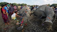Warga tampak berkerumun dan sesekali mendekati kedua gajah dan memegangnya.  (Foto: Dok. REUTERS/Anuwar Hazarika)