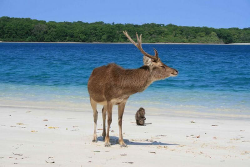Pulau Peudang di Taman Nasional Ujung Kulon