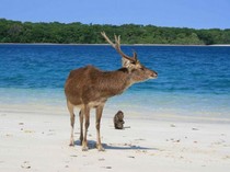 Rekomendasi Destinasi Wisata Dekat Tanjung Lesung