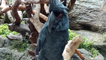 Foto: Adi Fida Rahman/detikINET