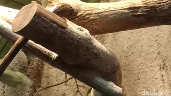 Setelah dilakukan zoom 2x. Foto: Adi Fida Rahman/detikINET