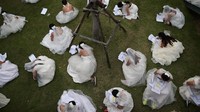 Sedangkan peserta yang lainnya asyik mengisi biodata. Tak ketinggalan mengecek nomor peserta yang diberikan oleh panitia lomba. (Athit Perawongmetha/Reuters)