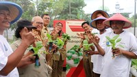 Direktur Kepatuhan Bank DKI, Budi Mulyo Utomo bersama Direktur Rumah Zakat, Asep Nurdin dan Camat Pulogadung, Bambang Pangestu bersama Kepala UPRS Jatinegara Kaum, Asih Sumaretmi menunjukkan hasil budidaya Hidroponik usai peresmian kebun Hidroponik di Rusunawa Jatinegara Kaum di Jakarta, Selasa (12/12). Foto: dok. Bank DKI