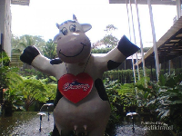 Belum Ada Rencana Liburan di Akhir Tahun? Yuk Wisata Kuliner ke Bogor