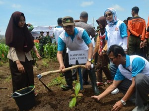 Jaga Konservasi, 11,5 Juta Bibit Tanaman Ditanam di Banyuwangi