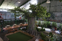 Belum Ada Rencana Liburan di Akhir Tahun? Yuk Wisata Kuliner ke Bogor